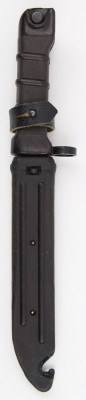 russian_plum_proto_sm_01.jpg
